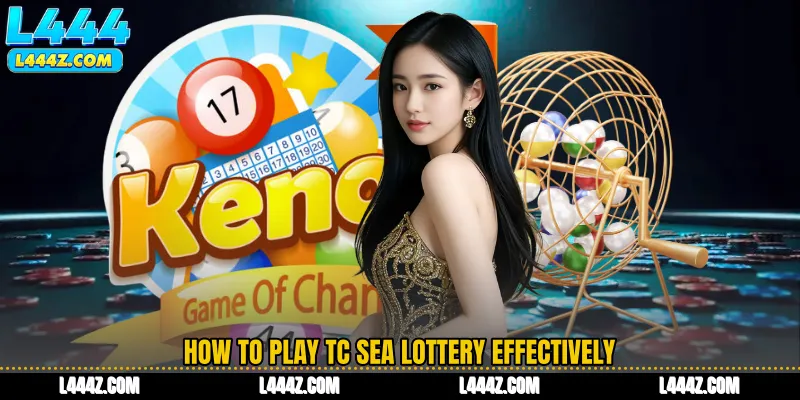 How to Play TC Sea Lottery Effectively