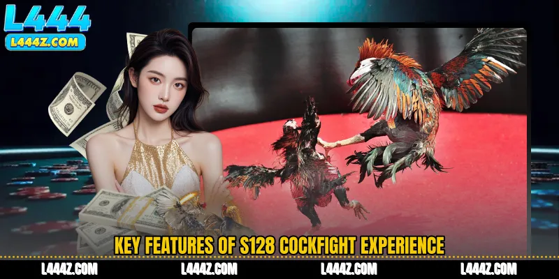 Key Features of S128 Cockfight Experience