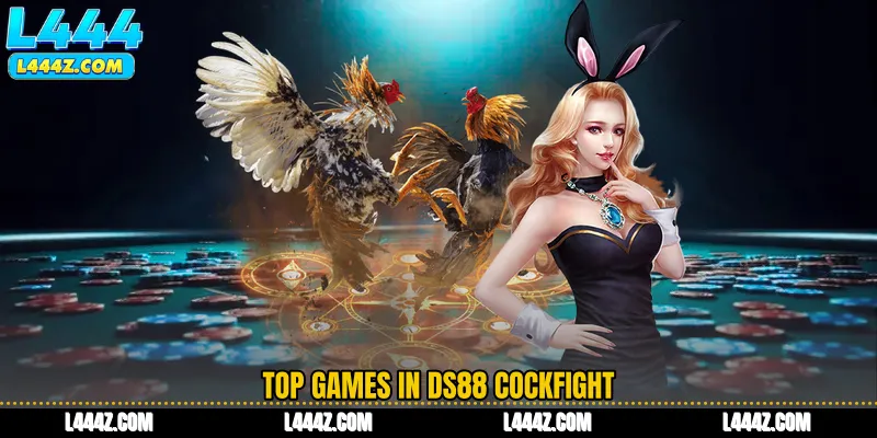 Top Games in DS88 Cockfight