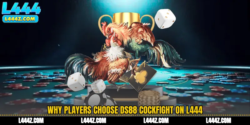 Why Players Choose DS88 Cockfight on L444