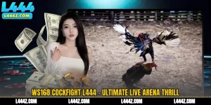 WS168 Cockfight L444 - Ultimate Live Arena Thrill