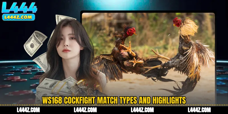 WS168 Cockfight Match Types and Highlights